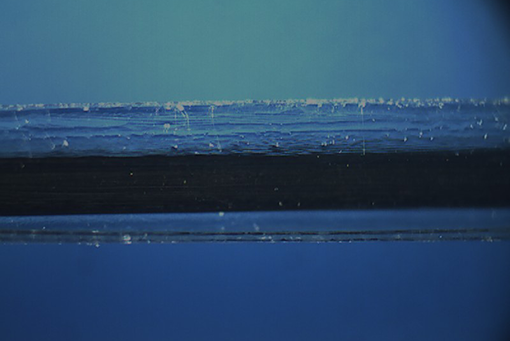 REM-Aufnahme beschichteter Stent